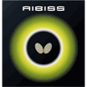 AIBISS