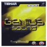 GENIUS SOUND
