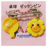 ZEKKEN PIN