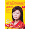 TT REPORT 2010/6